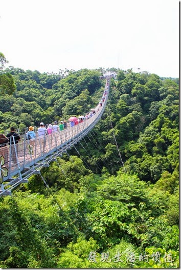 南投-天空之橋。南投的天空之橋感覺上與台北內湖的白石湖吊橋似乎有點類似，只是少了一些翻騰的龍骨造型，有興趣的朋友可以參考看看。