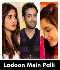  ladoon mai pali OST Title song of Geo Tv drama