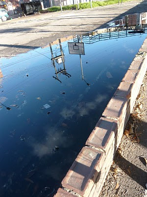 Basketball Reflections