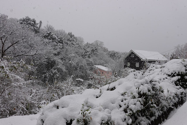 鳥取県米子市岡成 ビラ大山 別荘地