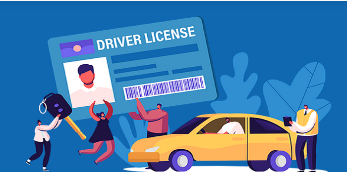 Driver License Online