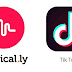 Increase Free TikTok Fans, likes, followers - 18 best tools to get more than 50,000 fans easily