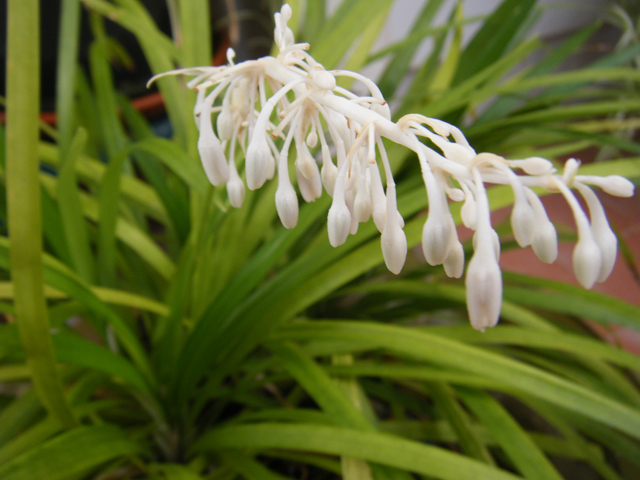 2011_08310014.JPG