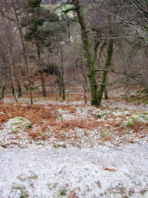 The walk continues down Craigendarroch near Ballater