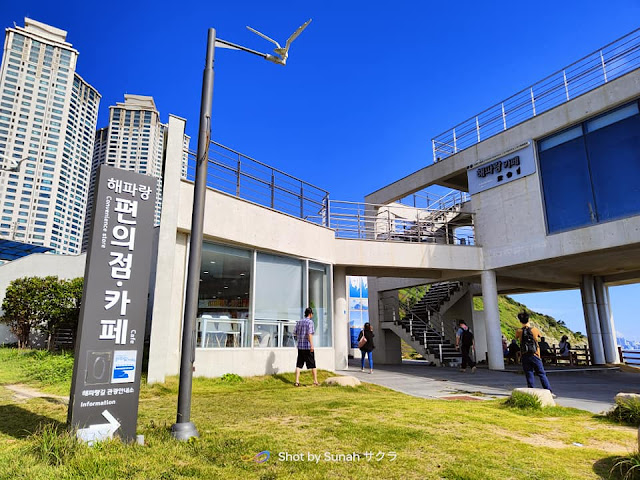 First Time Naik Bas, Pergi Oryukdo Skywalk, Busan