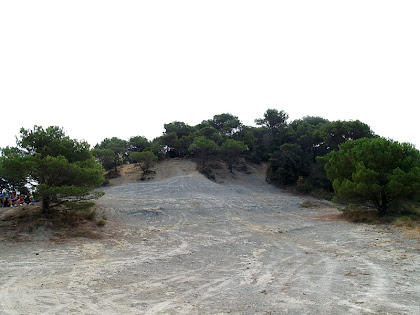 Margues al Collet de Sant Fruitós