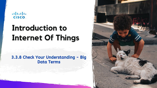 3.3.8 Check Your Understanding - Big Data Terms