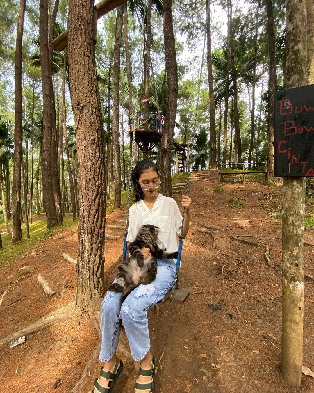 Hutan Pinus Motilango Gorontalo