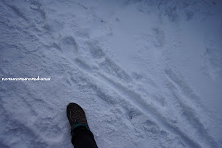 アイスランド　レイキャビクのふかふかの雪　歩道