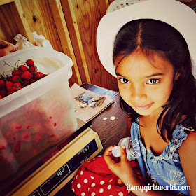 marcy's strawberry picking