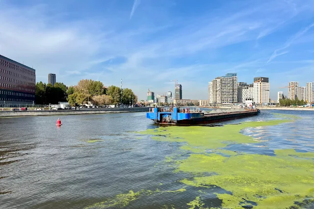 Москва-река, Павелецкая набережная, Симоновская набережная