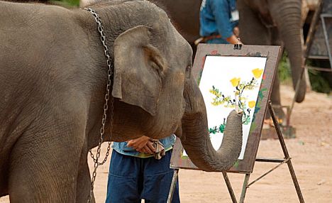 Simply Creative Photographer: Creative Artist Animals