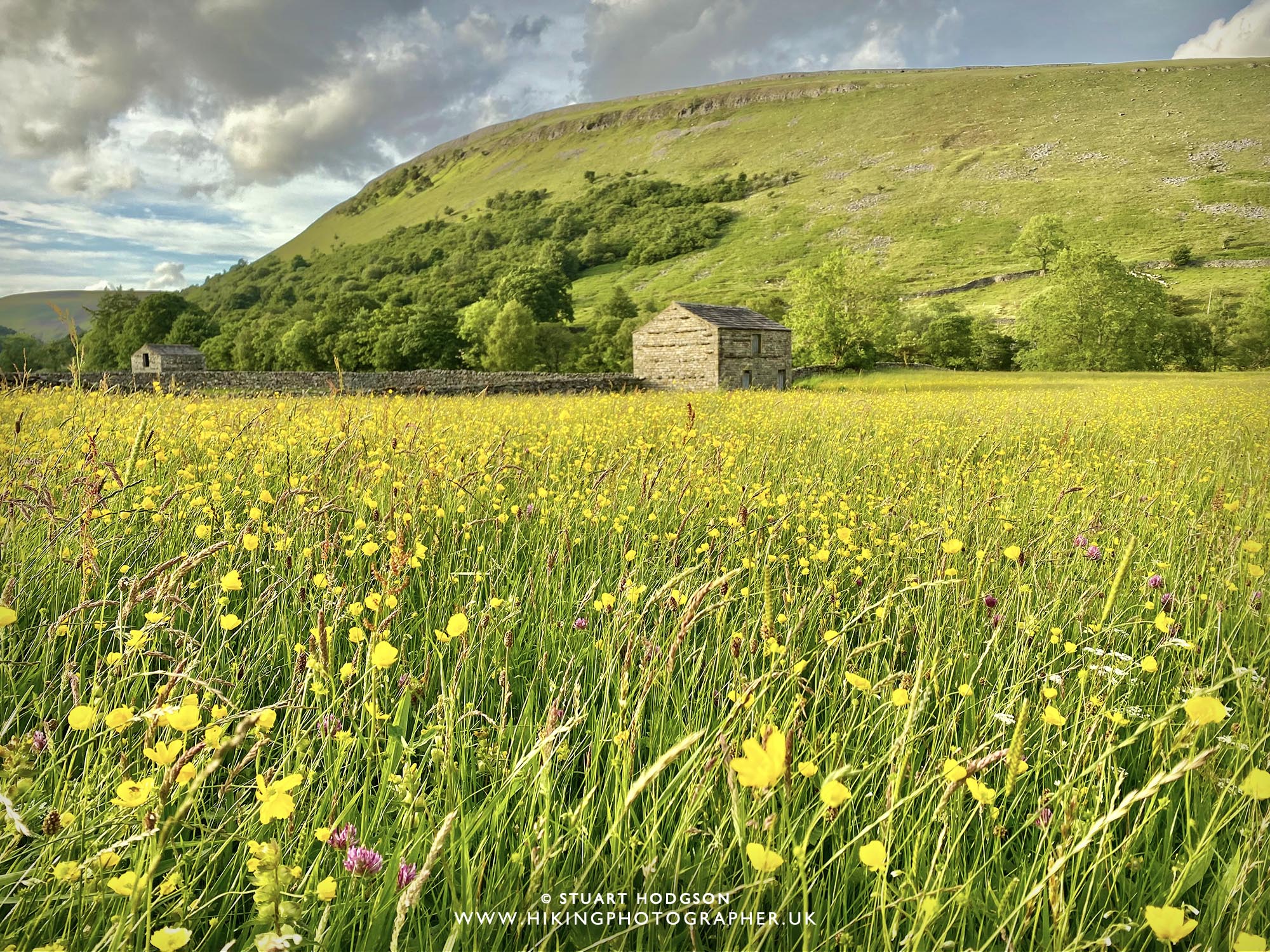 Muker wild flower meadows Yorkshire Dales walk map route River Swale