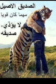 صور حكم رائعة’صور