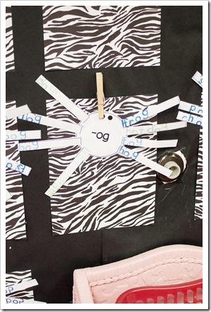 1stgrade-spiders1