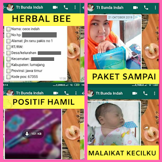 Promil Herbal Bee 