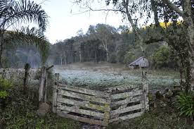 A foto mostra o gelo nos campos do Rio grande do Sul.