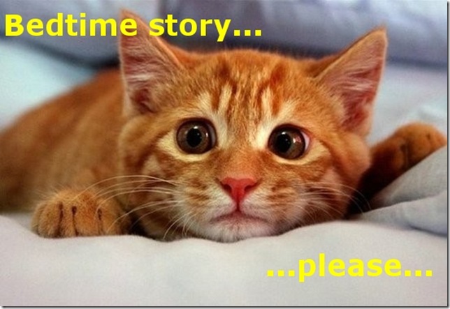 Funny Pictures: Bedtime story please