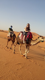 camel trekking sahara desert