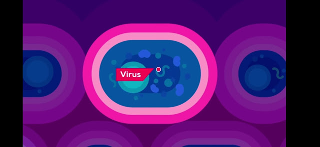 The Coronavirus Explained & What You Should Do  ( important article )