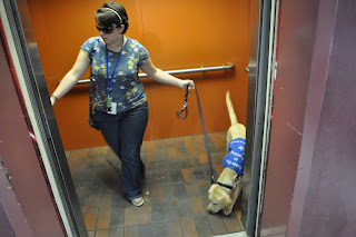 Bob and I inside of an outdoor elevator, I'm reaching for the button and Bob is sniffing something on the ground