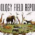 Zoology Field Report Lal Suhanra National Park Bahawalpur Pakistan, Historical Information