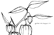 Tren Gaya 20+ Sketsa Gambar Daun