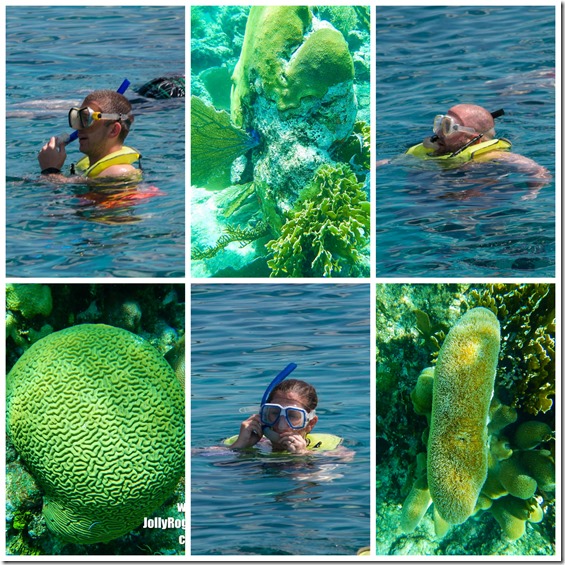 roatan1