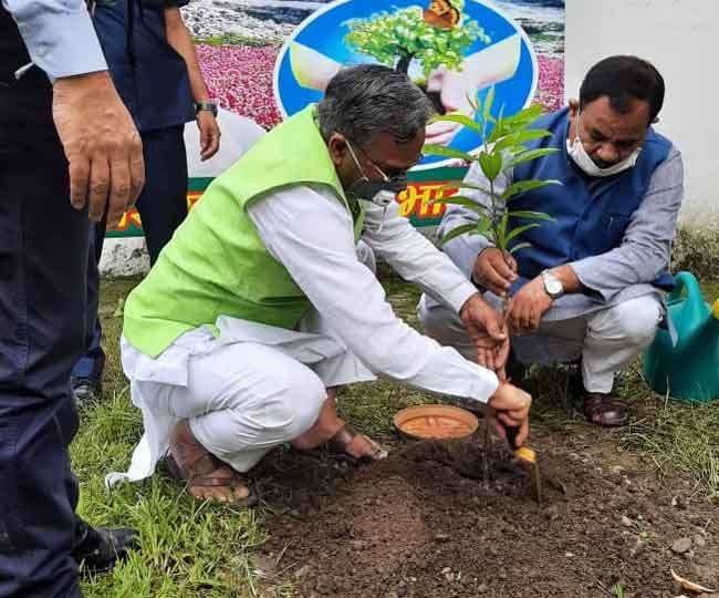चित्र
