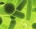 Momod ads.id