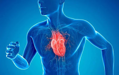 Follow These 4 Nutrition Tips for a Healthy Heart In 2018