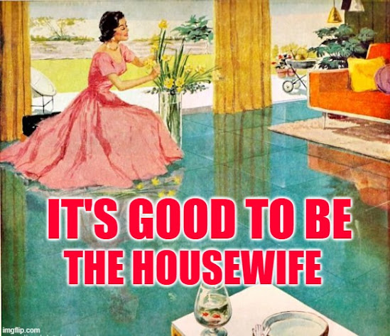 It's good to be the housewife. Housewife Sayings Memes by JenExx