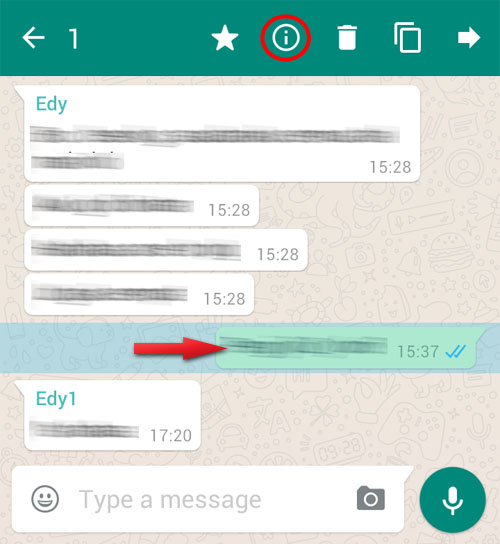 whatsapp msg info 1