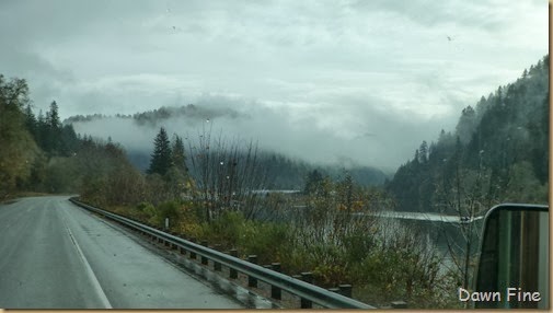 mushrooms-and-drive-to-eugene_073_th