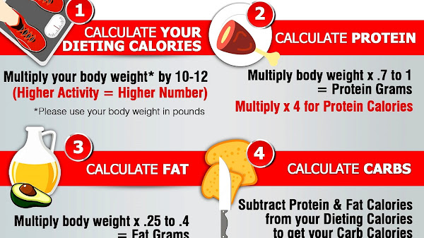 How Much Protein Do I Need Daily Calculator