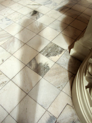 Shadow Pic at the Georgia Capitol Building