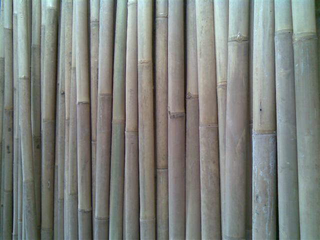  Dinding Bambu  Studi Bahan Bangunan Universitas Diponegoro