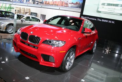 BMW X6 2010