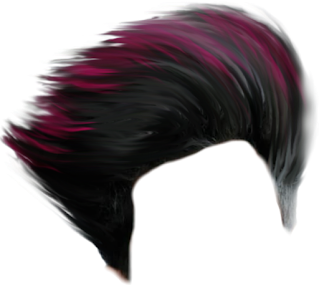 Hair PNG Images For CB Editing, Picart PNG Images