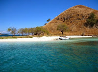 EKSOTISME TAMAN NASIONAL BALURAN