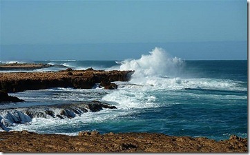2_1284577071_4_blowholes