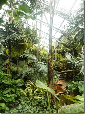Jardin Botanique de Genève