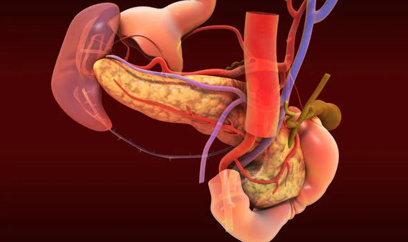 The mesentery has now been classified as a single organ