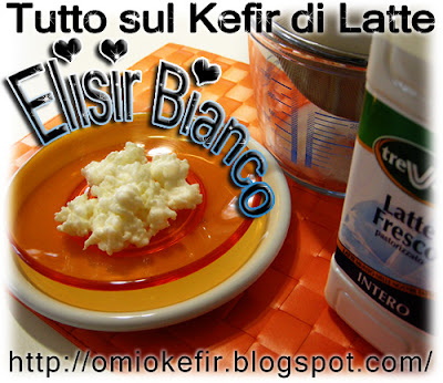 Fermenti vivi del Kefir pronti ad entrare in contatto con il latte fresco