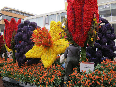 Blumenkorso Noordwijk Bollenstreek