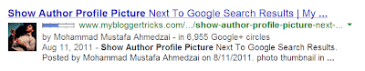 Show Author Profile Picture in Search Results