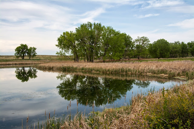 Rocky Mountain Arsenal National Wildlife Refuge