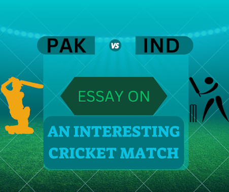 Image displaying an essay discussing the narrative of an interesting cricket match