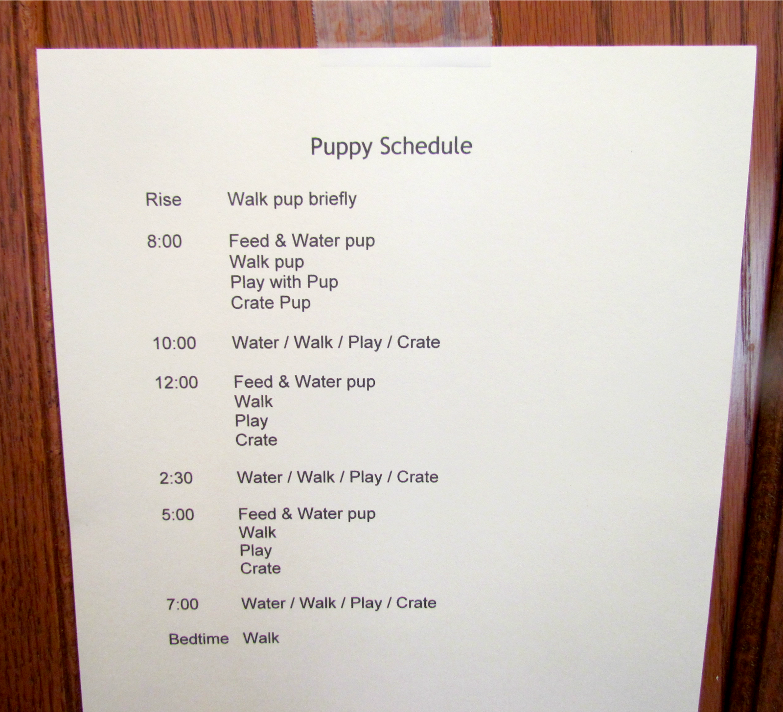 56 HQ Pictures 10 Week Old Puppy Schedule : E-A-S-Y schedule for 4 week olds | Baby routine, Baby ...