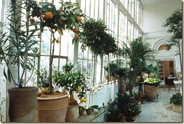 sto_laxenburg_5